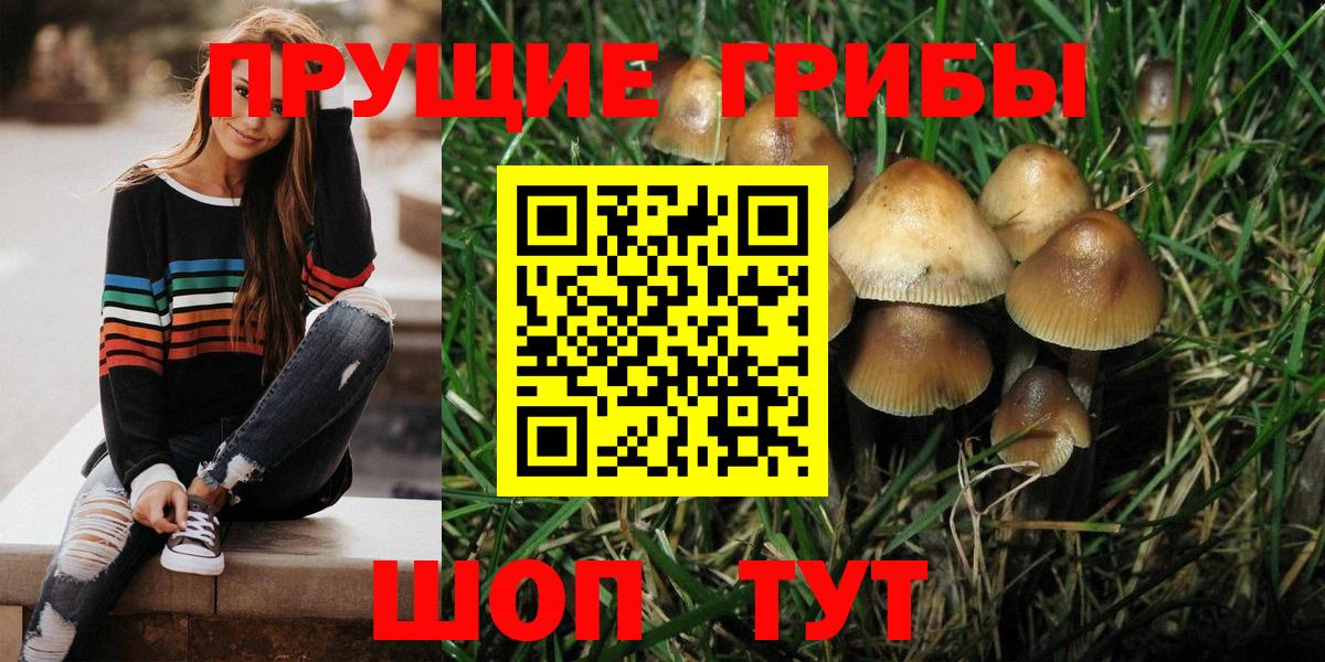 Псилоцибиновые грибы Cubensis  Псилоцибиновые грибы GOLDEN TEACHER  купить наркоту  Благовещенск  Вход с VPN 